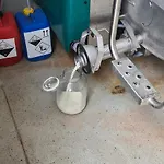 Goeschlberger Pensjonat Mondsee