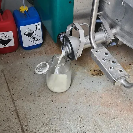 盖斯伯格膳食公寓 招待所 蒙德湖
