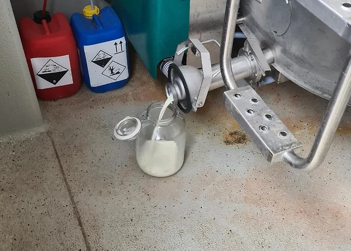 盖斯伯格膳食公寓 招待所 蒙德湖