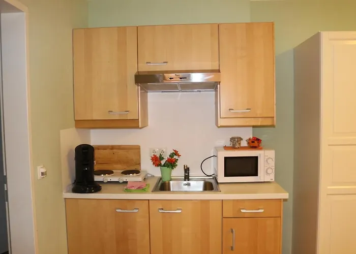 盖斯伯格膳食公寓 3* 蒙德湖