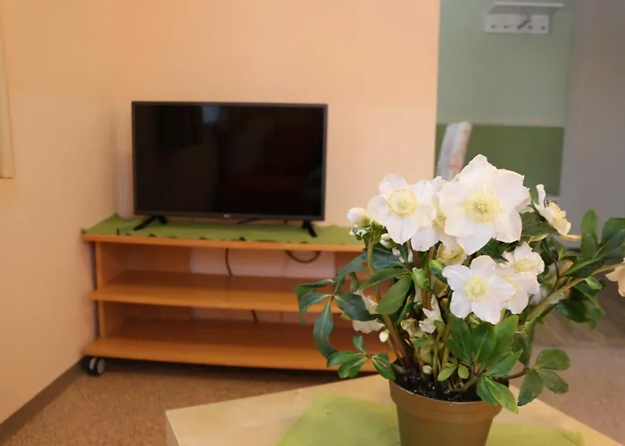 盖斯伯格膳食公寓 3* 蒙德湖